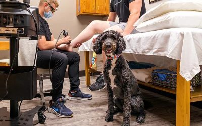 A Wagging Tail and a Warm Heart: Finding Comfort in Your Recovery