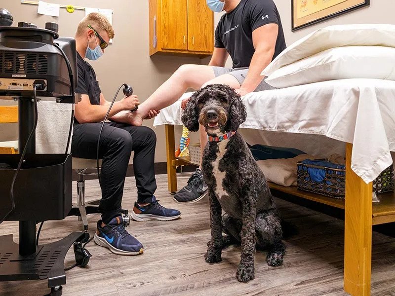 A therapy session at a clinic shows a man receiving foot treatment from a technician. A black and white dog sits nearby, adding a comforting presence.